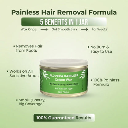 Alovera Creamy Painless Wax 300ml