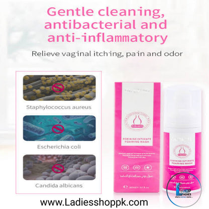 Dr. Rashel Feminine Intimate Foaming Wash